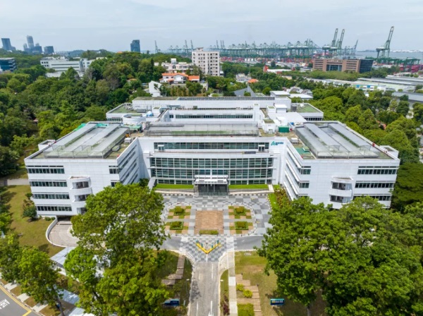 新加坡莎顿国际学院：特色教育，成就未来