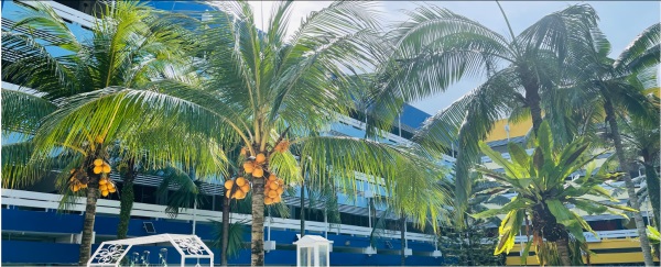 新加坡莎顿国际学院国际课程优势，对接哪些海外大学